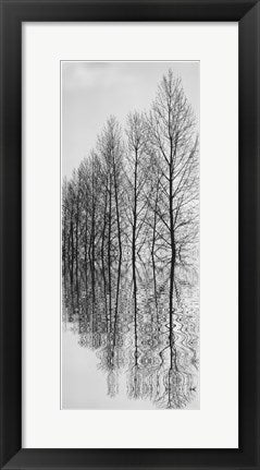 Framed Reflections II 20 1/2 x 8 1/2