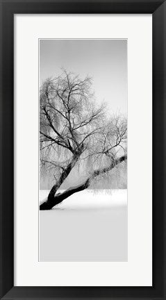 Framed Solitude 20 x 8