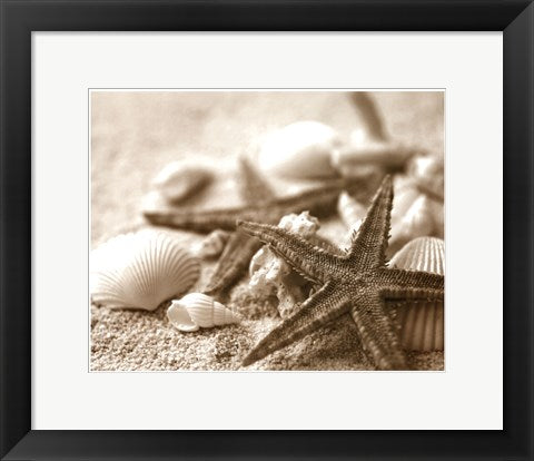 Framed Art Starfish and Seashells 11 1/2 x 14 1/2