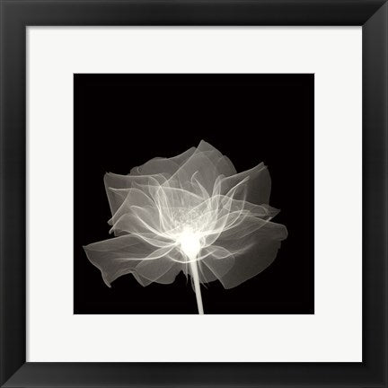 Framed Layered Veil 12 x 12