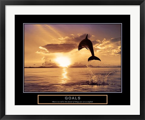 Framed Art Goals - Dolphins Wall Decor 18x24 Artwork