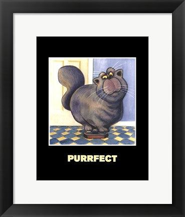 Framed Purrfect by Kourosh | 14 x 11