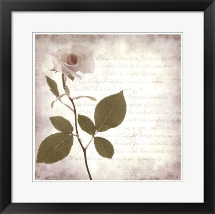 Framed Retro Rose 16 1/2 x 16 1/2