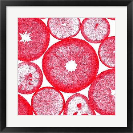 Framed Art Red Lemon Slices by Veruca Salt Wall Decor 18x24 Artwork