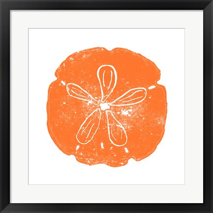 Framed Art Orange Sand Dollar by Veruca Salt Wall Decor 18x24 Artwork