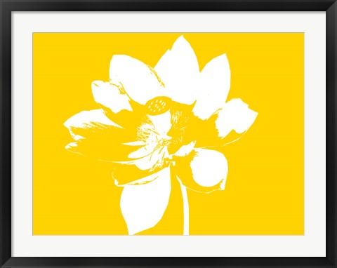 Framed Art Lilly on Yellow by George Dilorenzo Wall Decor 18x24 Artwork