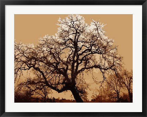 Framed Art Oak Tree on Tope by George Dilorenzo Wall Decor 18x24 Artwork