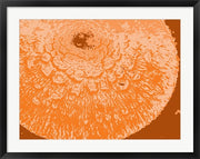 Orange Abstract by George Dilorenzo