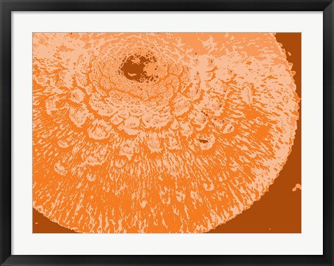Orange Abstract by George Dilorenzo