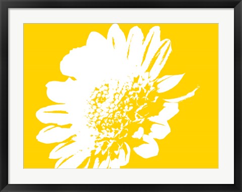 Framed Art Yellow Mum by George Dilorenzo Wall Decor 18x24 Artwork