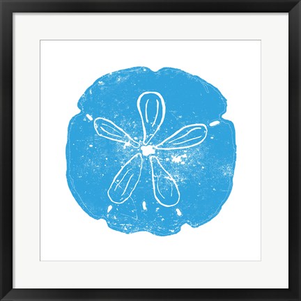 Framed Art Blue Sand Dollar by Veruca Salt Wall Decor 18x24 Artwork