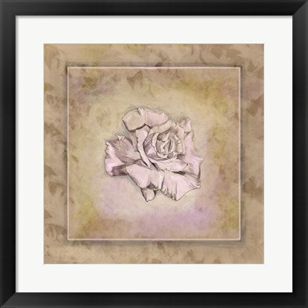 Framed Art Rose Square I by Veruca Salt Wall Decor 18x24 Artwork