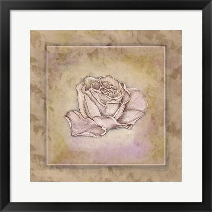 Framed Art Rose Square III by Veruca Salt Wall Decor 18x24 Artwork