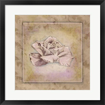 Framed Art Rose Square II by Veruca Salt Wall Decor 18x24 Artwork