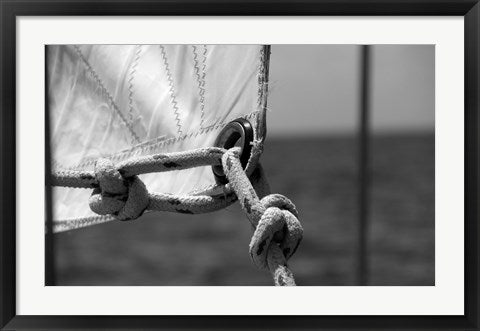 Loopholes by Delaney Flanders