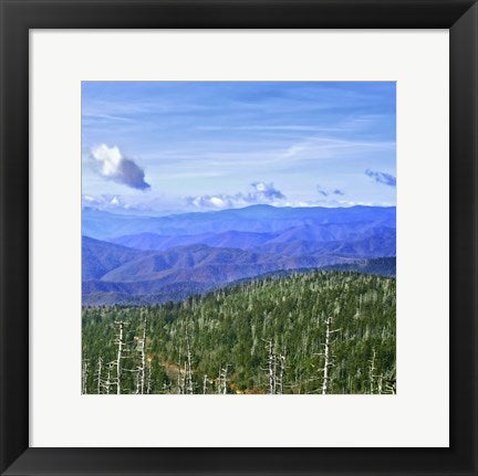 Framed Art Great Smoky Mountains Wall Decor 18x24 Artwork