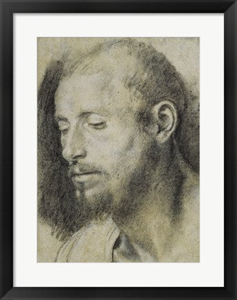 Framed Art Study of the Head of a Bearded Man by Giovanni Girolamo Savoldo Wall Decor 18x24 Artwork