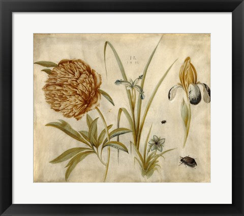 Framed Art Flowers and Beetles by Hans Hofmann Wall Decor 18x24 Artwork