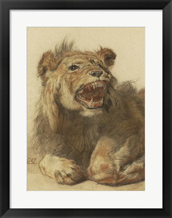 Framed Art A Lion Snarling by Cornelis Saftleven Wall Decor 18x24 Artwork