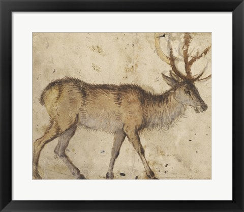 Framed Art Study of a Stag by Cranach the Elder Wall Decor 18x24 Artwork