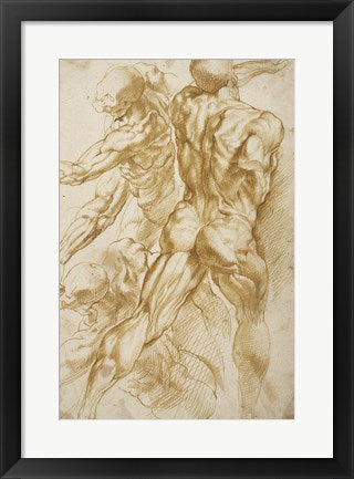Framed Art Framed Anatomical Studies by Peter Paul Rubens Wall Decor18x24 Artwork