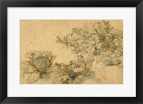 Framed Art Studies of a Marrow Plant and Cabbages by Abraham Bloemaert Wall Decor 18x24 Artwork