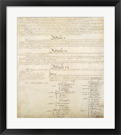 Framed Art Constitution of the United States IV Wall Decor 18x24 Artwork