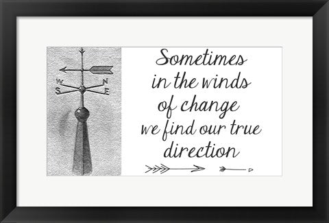 Framed Art Sometimes In The Winds Of Change by Veruca Salt Wall Decor 18x24 Artwork