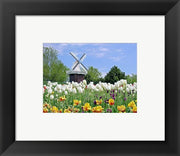 Framed Art Dutch Tulip Field And Windmill Wall Decor 18x24 Artwork