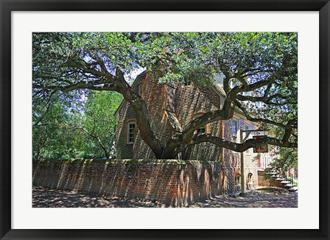 Framed Art Colonial Architechture Framed Art for your Home Wall Decor 18x24 Artwork