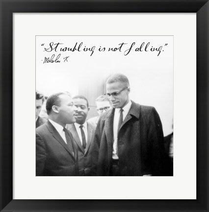 Framed Art Stumbling is Not Falling by Veruca Salt Wall Decor 18x24 Artwork