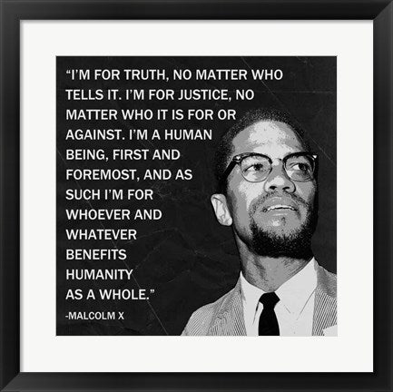 Framed Art I'm for Truth by Veruca Salt Wall Decor 18x24 Artwork