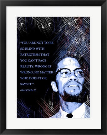 Framed Art Patriotism by Veruca Salt Wall Decor 18x24 Artwork