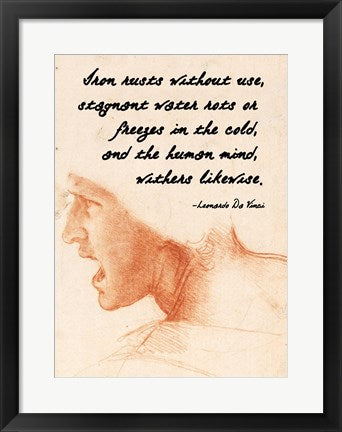Framed Art The Human Mind - Da Vinci Quote Wall Decor 18x24 Artwork