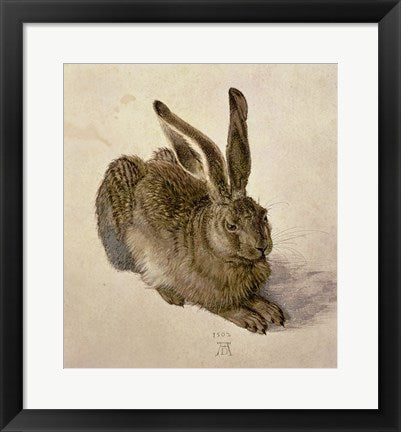 Framed Art Young Hare, c.1502 by Albrecht Durer Wall Decor 18x24 Artwork