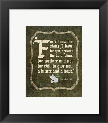 Framed Art Jeremiah 29:11 For I know the Plans I have for You (White Dove) Wall Decor 18x24 Artwork