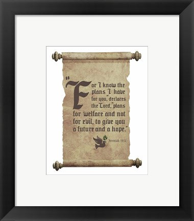 Framed Art Jeremiah 29:11 For I know the Plans I have for You (Dove on Scroll) Wall Decor 18x24 Artwork