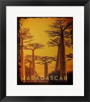 Framed Art Vintage Baobab Trees in Madagascar, Africa by Take Me Away Wall Decor 18x24 Artwork