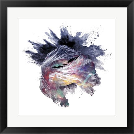 Framed Art Cosmic Betta Wall Art Wall Decor 18x24 Artwork