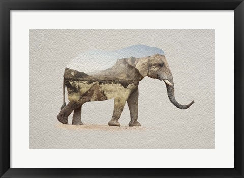 Framed Art African Elephant Erongo Namibia Wall Decor18x24 Artwork