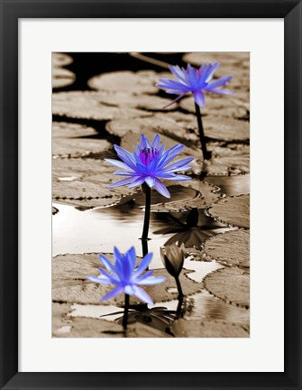 Framed Art Pop of Color Lotus Flowers Wall Decor 18x24 Artwork