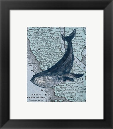 Framed Art California's Grayback Whale Wall Decor18x24 Artwork