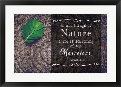 Framed Art In all things of Nature Wall Decor 18x24 Artwork