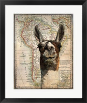 South America Llama Map by Take Me Away