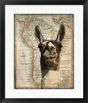 South America Llama Map by Take Me Away