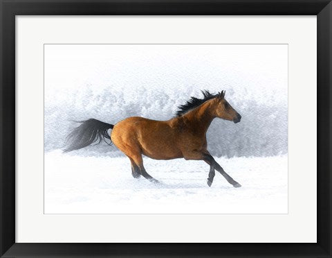 Framed Art Pop of Color Running Horse Wall Decor 18x24 Artwork