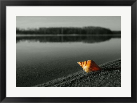 Framed Art Pop of Color Orange Shell Wall Decor 18x24 Artwork