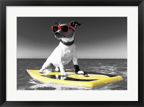 Framed Art Pop of Color Surf's Up Dog Wall Decor 18x24 Artwork