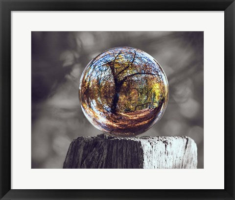 Framed Art Pop of Color Glass Sphere Wall Decor 18x24 Artwork
