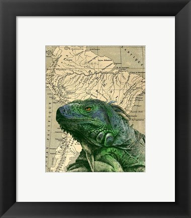 Framed Art Brazilian Iguana by Take Me Away Wall Decor 18x24 Artwork